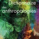 Dictionnaire des anthropologies de Mathilde Lequin et Albert Piette